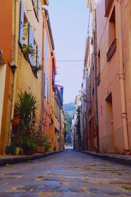 Au Coeur De Ville Avec Terrasse Céret Εξωτερικό φωτογραφία