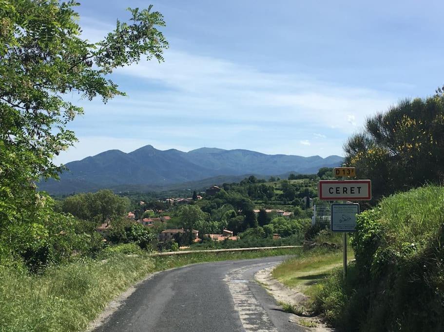 Au Coeur De Ville Avec Terrasse Céret Εξωτερικό φωτογραφία