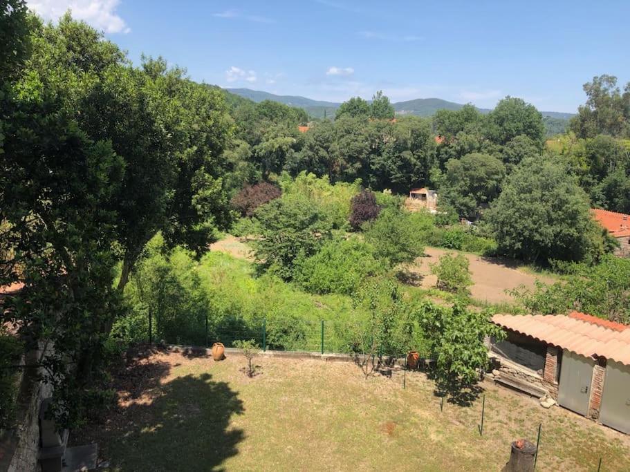 Au Coeur De Ville Avec Terrasse Céret Εξωτερικό φωτογραφία